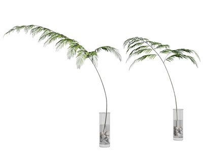 现代玻璃花瓶树枝