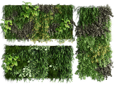 现代植物墙