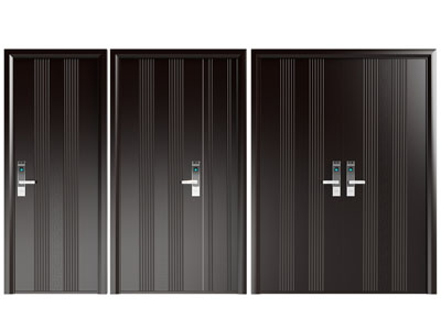 现代子母 双扇入户平开门 防盗门