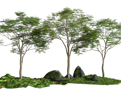 现代树木、石头景观园艺小品