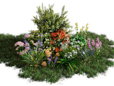 现代花草花卉灌木植物景观园艺小品