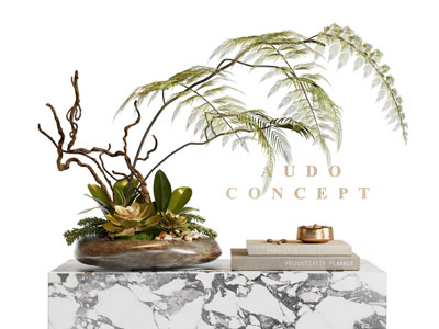 新中式盆景盆栽 书本摆件组合