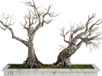 现代户外花坛枯树景观园艺小品