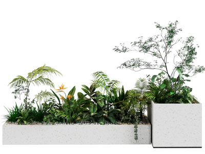 现代花坛花草花卉盆栽植物