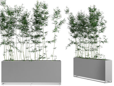 新中式户外盆栽竹子植物