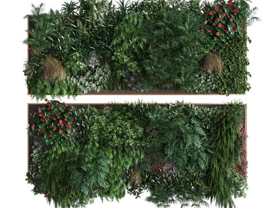 现代长方形植物墙