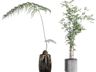 新中式花盆盆栽植物