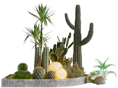 现代花坛多肉植物景观园艺小品