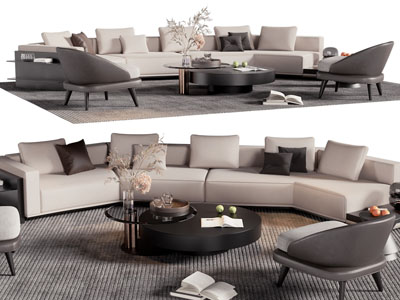 现代多人沙发、休闲椅子和茶几组合
