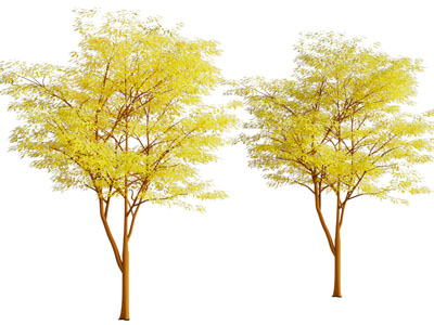 现代秋天的树木