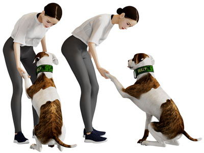 训练狗的女人、女孩