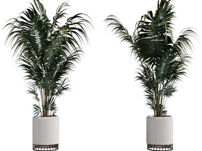 现代条纹花盆盆栽植物