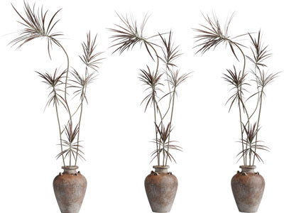 侘寂风粗陶花盆盆栽植物