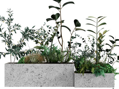 现代户外花坛花草盆栽植物