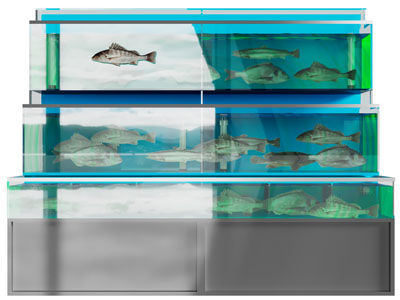 现代海鲜池、鱼缸、水生动物展柜展台