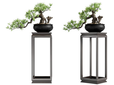 新中式花架松树盆景盆栽