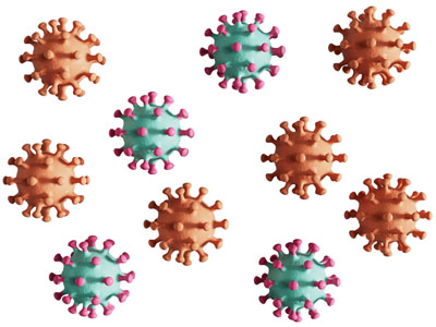 新冠病毒细胞、VIRUS COVI19病毒细胞3d模型 新冠病毒细胞、VIRUS COVI19病毒细胞