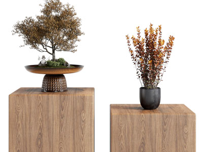 现代花盆花卉盆景盆栽植物