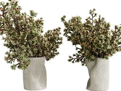 侘寂风花瓶花卉