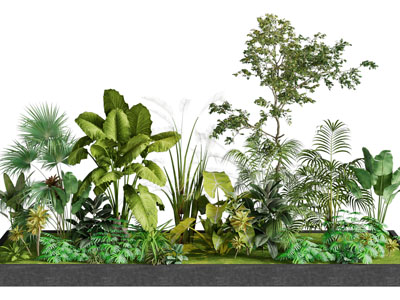 现代花坛、花池、花草植物景观园艺小品