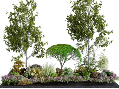 现代户外花坛花草植被 树木景观园艺小品