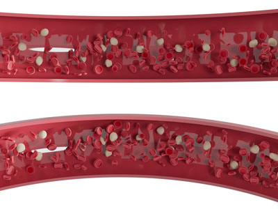 现代血管内部 红细胞 白细胞血液3d模型 现代血管内部 红细胞 白细胞血液