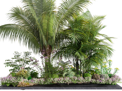 现代户外花坛散尾葵 花草花卉景观园艺小品