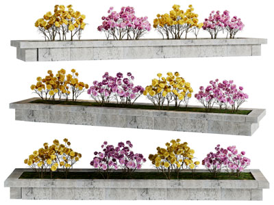 现代户外花坛花草花卉盆栽植物