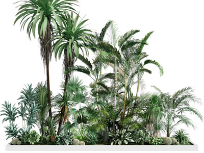 现代花坛花草植物景观园艺小品