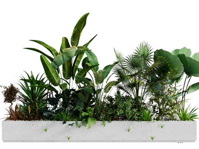 现代花坛花草植物景观园艺小品