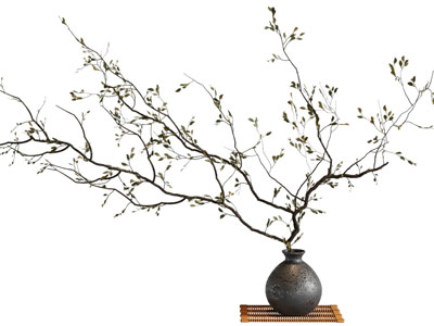 侘寂风陶艺花瓶花卉