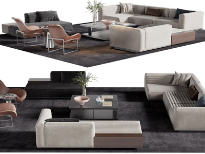 现代多人沙发、贵妃椅和茶几组合