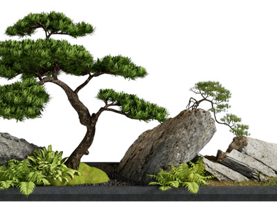 新中式松树、石头景观园艺小品