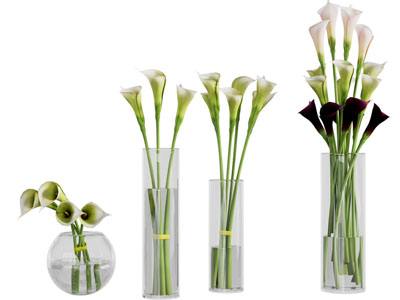 现代花瓶马蹄莲花卉