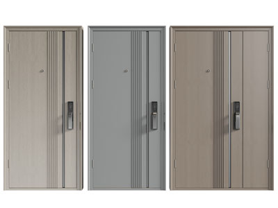 现代子母入户平开门