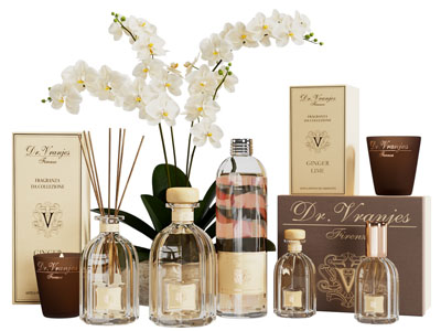 现代香薰 盆景盆栽 烛台摆件组合