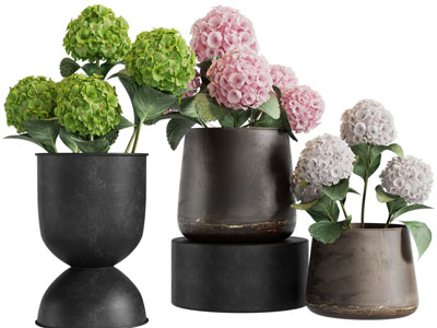 现代陶艺花盆绣球花盆景盆栽植物