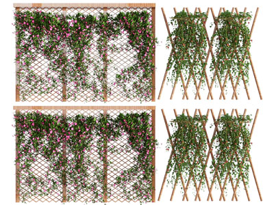 现代藤蔓植物爬架 植物墙