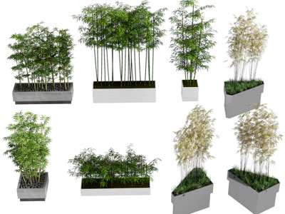 新中式户外花坛竹子盆栽植物