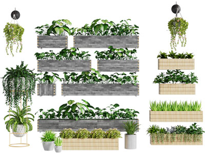 现代花坛盆景盆栽植物