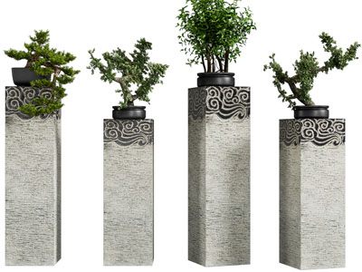 新中式盆景盆栽植物