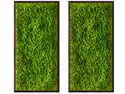 现代长方形画框植物装饰挂画 植物墙