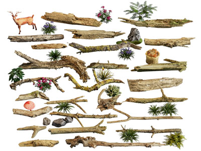 现代腐烂木头 木棍 枯木段 木段 木材