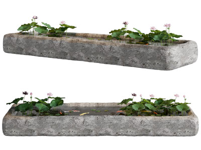 侘寂风石头荷花池 鱼群景观园艺小品