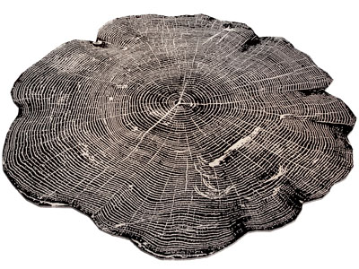 现代树桩造的地毯3d模型 现代树桩造的地毯