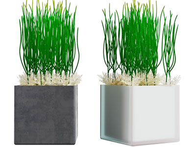 现代方形花盆盆栽植物