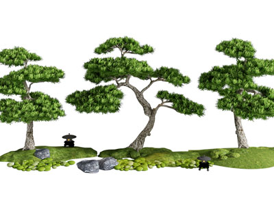 新中式松树 花草景观园艺小品