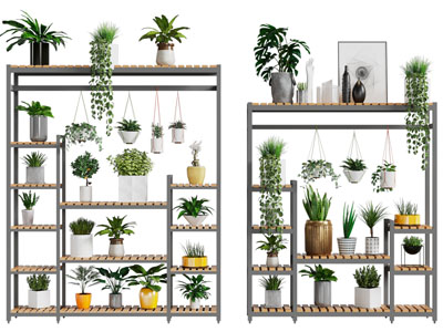 现代花架 盆景盆栽摆件组合