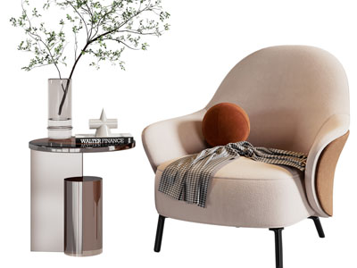 现代休闲椅子 边几