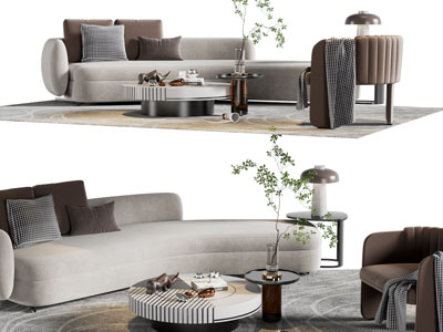 现代弧形多人沙发 休闲椅子和茶几组合